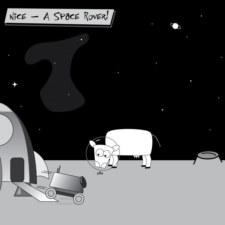 Beep Beep-01
