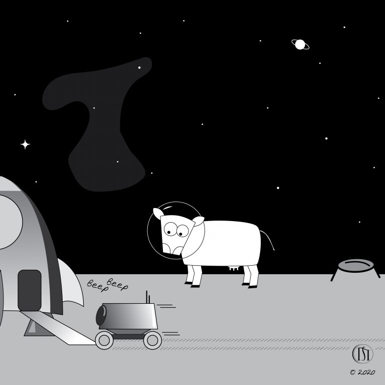 Beep Beep-08