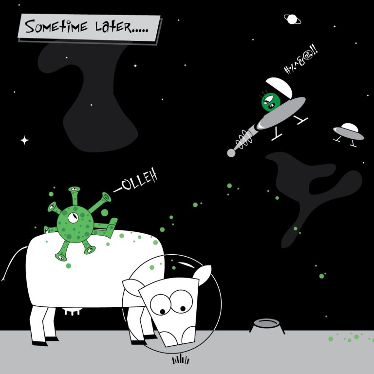 The Bug-05