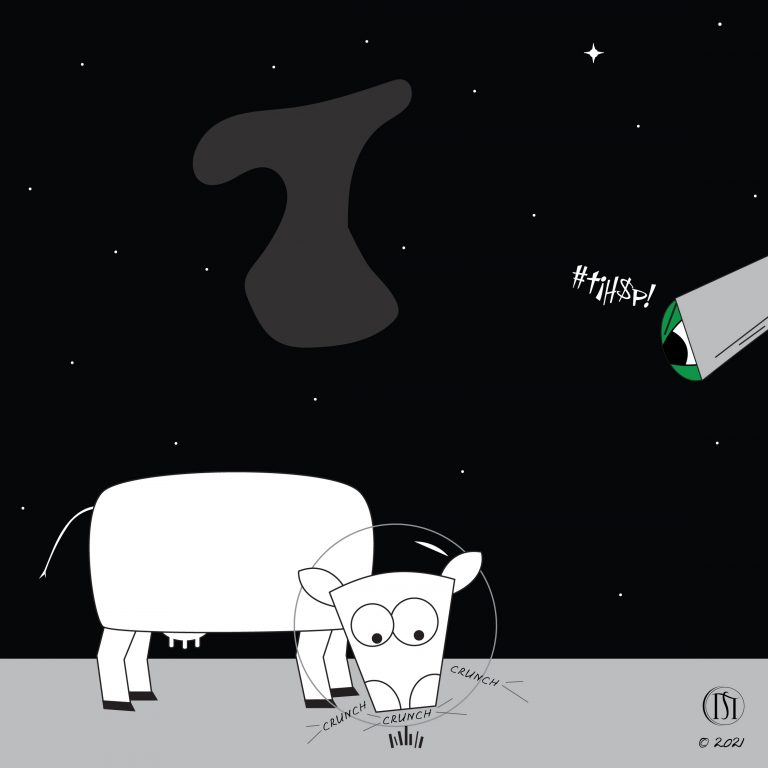 The Tooth-08