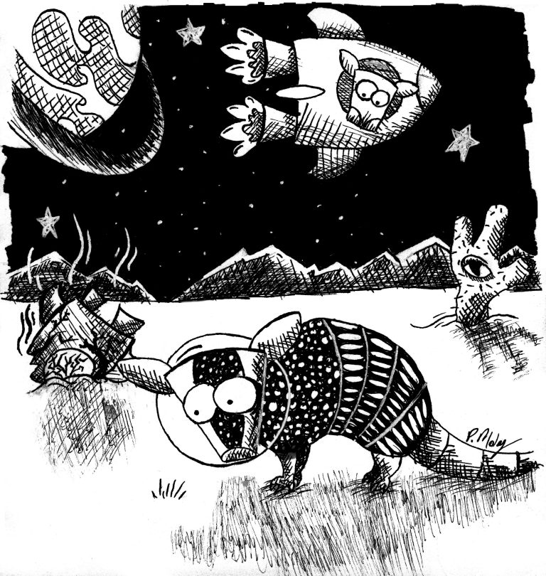 Armadillo