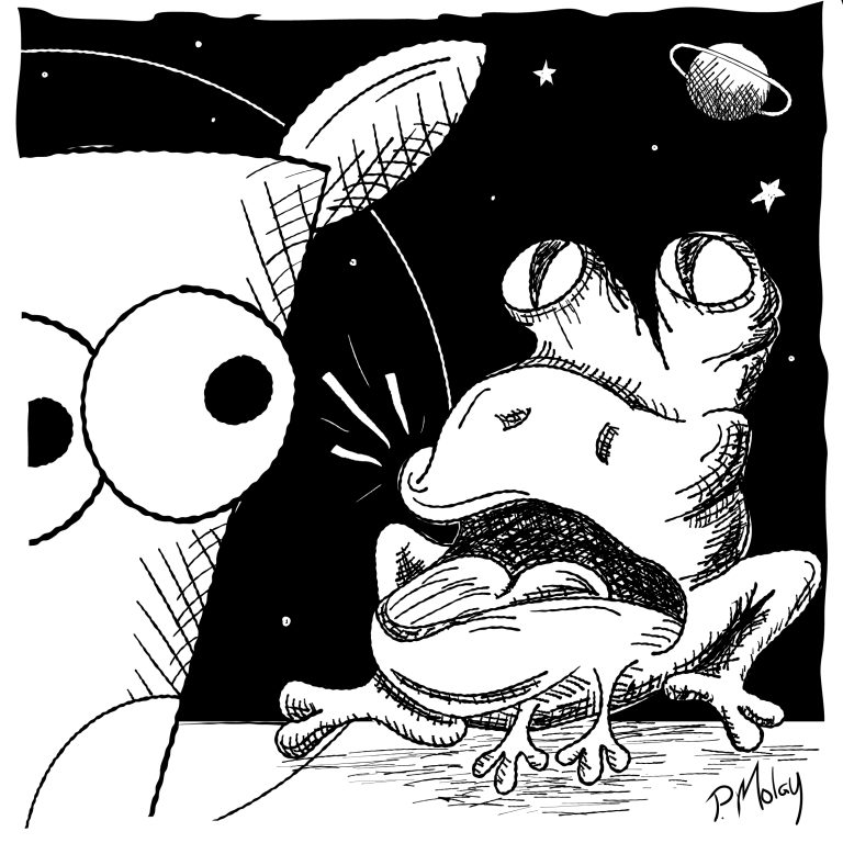 Day 8 Toad