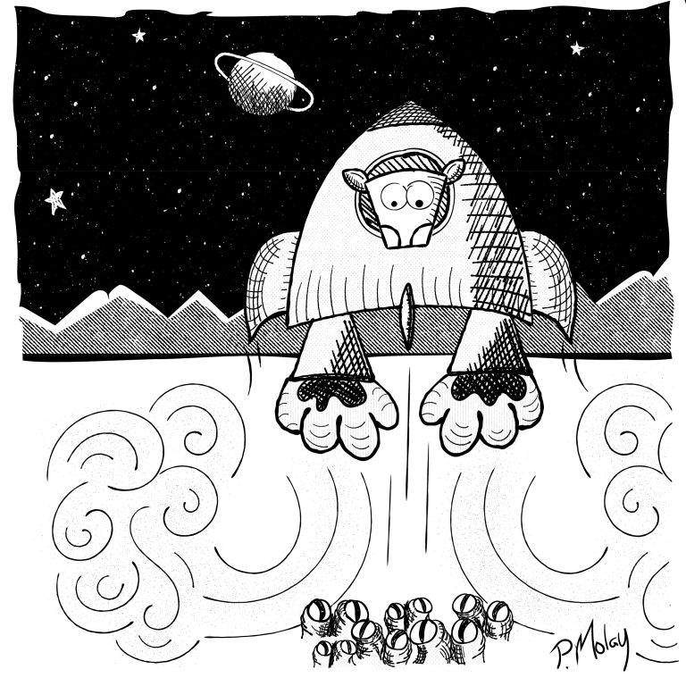 Day 13 Rise