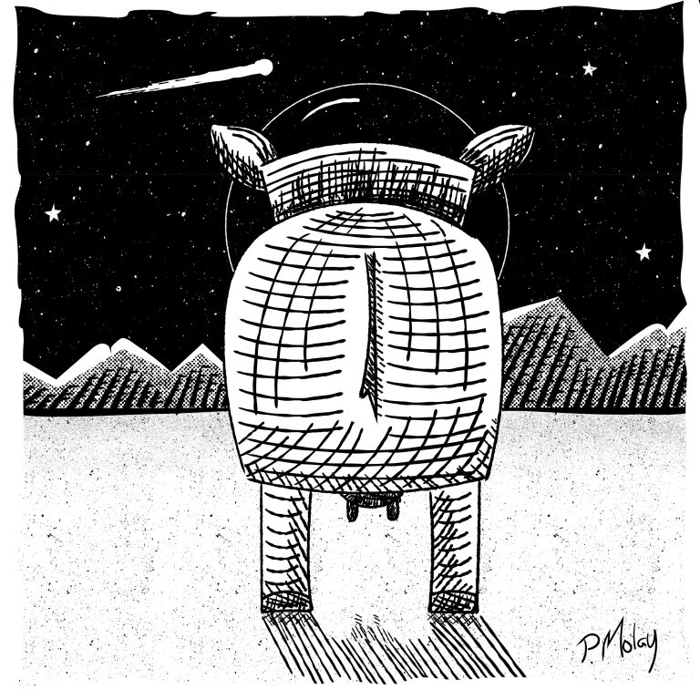 Day 19 Plump
